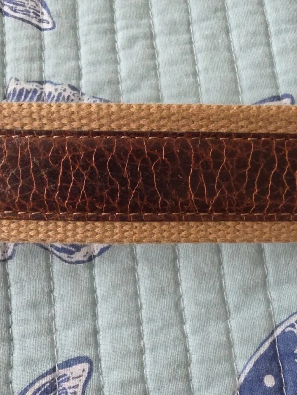 Columbia Men's Brown Leather & Tan Webbing Belt